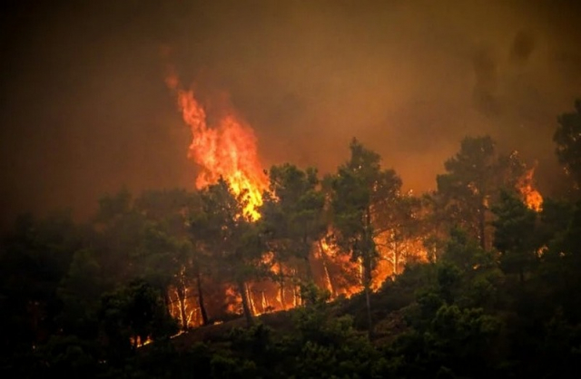 Καίγεται η Κάρυστος: Ώρες αγωνίας για τον αγνοούμενο κτηνοτρόφο