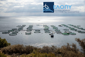 Αξιόλογη και δυναμική η εκπροσώπηση της ελληνικής ιχθυοκαλλιέργειας μέσω της ΕΛΟΠΥ, στη Seafood Expo Global