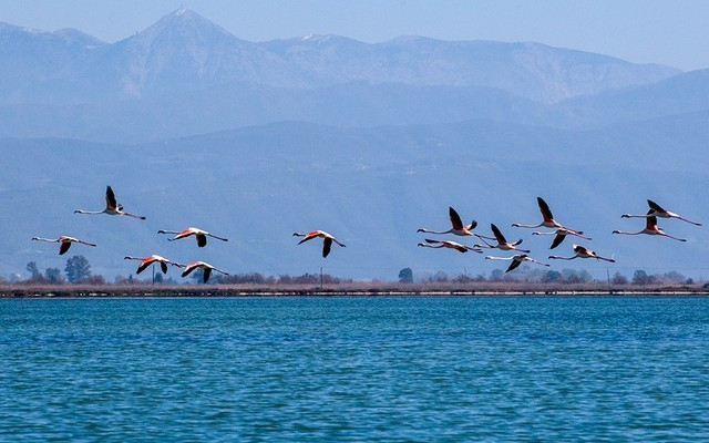 Επεκτείνεται η ζώνη θήρας στον Αμβρακικό