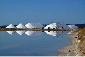 Το αλάτι...