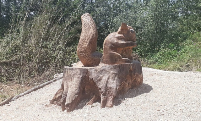 Ηγουμενίτσα: Μετέτρεψαν τα νεκρά πλατάνια σε έργα τέχνης