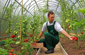 Συνολική χρηματοδότηση 68,8 εκατ ευρώ στους νέους αγρότες της Δυτικής Ελλάδας