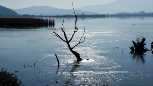 Ψαράς εντόπισε αντιαρματική νάρκη στη λίμνη των Ιωαννίνων