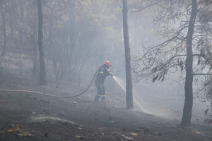 Λευκάδα: Περιορίστηκε η πυρκαγιά σε αγροτοδασική έκταση στο Αθάνι