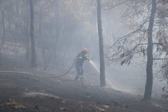 Λευκάδα: Περιορίστηκε η πυρκαγιά σε αγροτοδασική έκταση στο Αθάνι