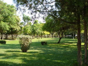 Βόλος: 60χρονη ξεψύχησε σε πάρκο, μπροστά στα έκπληκτα μάτια περαστικών