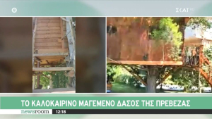 Το καλοκαιρινό μαγεμένο δάσος της Πρέβεζας (video)