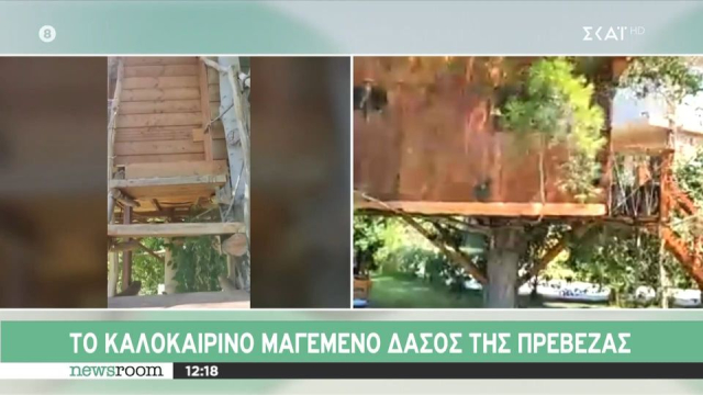 Το καλοκαιρινό μαγεμένο δάσος της Πρέβεζας (video)
