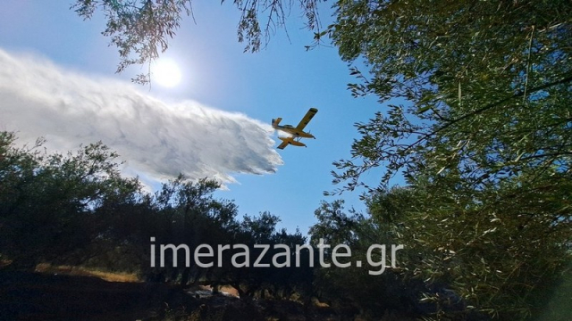 Ζάκυνθος: Οριοθετήθηκε η φωτιά σε δασική έκταση στο Φιολίτι