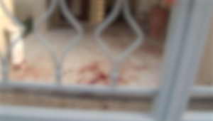 Καλύβια: «Δεν ξέρω πόσες φορές τον μαχαίρωσα / Η απολογία του 16χρονου