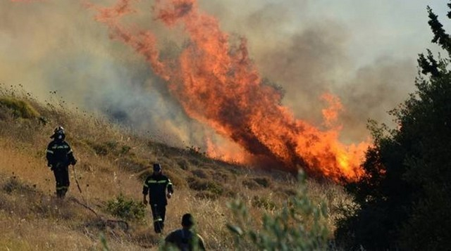 Μην είστε υπερβολικοί με τις φωτιές! Τα πλαστικά καλαμάκια και οι πλαστικές σακούλες φταίνε για όλα...