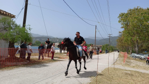 Λευκάδα. Εντυπωσίασε ο όμορφος κόσμος του αλόγου στην 2η έκθεση