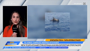 Το Ιόνιο ξεβράζει νεκρές αγελάδες (video)