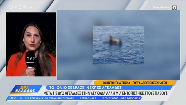 Το Ιόνιο ξεβράζει νεκρές αγελάδες (video)