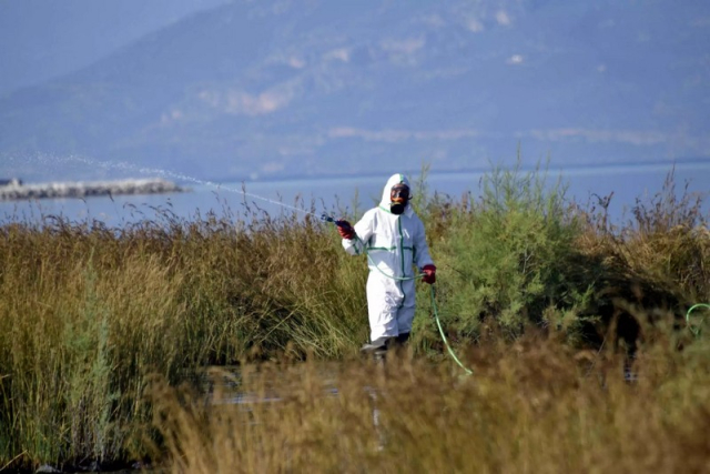 Ιός του Δυτικού Νείλου: 10 θάνατοι σε ασθενείς – Κρούσματα και στη Λευκάδα