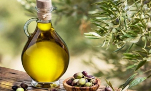 Απλησίαστο το ελαιόλαδο για τα νοικοκυριά: Πλιάτσικο σε ελαιώνες όλης της χώρας λόγω… τιμής!