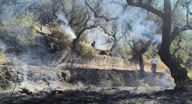 Ζάκυνθος: Φωτιά σε δασική έκταση στο Φιολίτι – Επιχειρούν και εναέρια μέσα