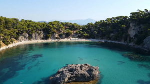 Ν. Πρέβεζας - Αλωνάκι: Η γραφική παραλία με τα καταπράσινα νερά (βίντεο)