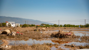 Θεσσαλία: Καταστροφές στο 70% στη βαμβακοκαλλιέργειας – Μεγάλο πλήγμα και στη ζωική παραγωγή