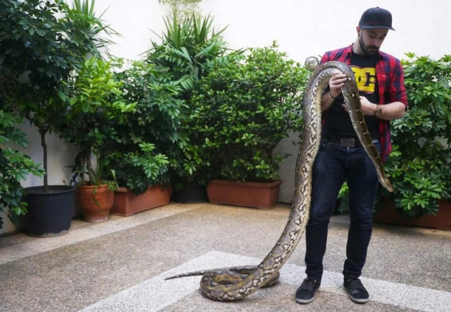 Πώς είναι να ζεις στο ίδιο δωμάτιο με έξι φίδια;