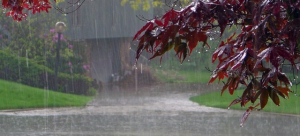 Επικαιροποίηση του έκτακτου δελτίου επιδείνωσης καιρού