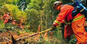 Λευκάδα. Ξεκινάει το έργο για την πυροπροστασία