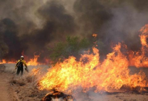 Πολύ υψηλός κίνδυνος πυρκαγιάς σήμερα σε Αχαΐα, Ηλεία και υψηλός στην Αιτωλοακαρνανία