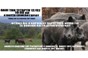 Ανοιχτή συνέλευση Εξάνθειας για την ανεξέλεγκτη δραστηριότητα των αγριογούρουνων