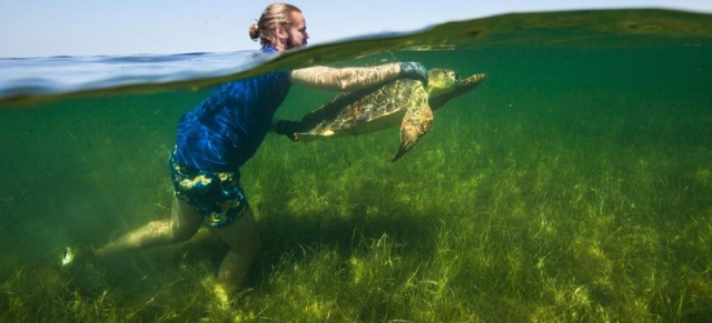 Υπεύθυνο πεδίου για το πρόγραμμα του Αμβρακικού Κόλπου ζητά ο “Αρχέλων”