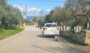 Ζάκυνθος: Συνελήφθη 66χρονος που έσερνε σκύλο με το ΙΧ - Πρόστιμο 30.300€