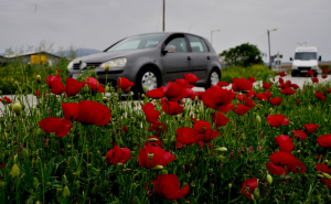 Πάσχα με ανοιξιάτικες θερμοκρασίες - Νέα επιδείνωση από το βράδυ