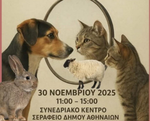 Δήμος Ακτίου Βόνιτσας και εθελοντές μαζί για τα αδέσποτα στο πανελλήνιο συνέδριο