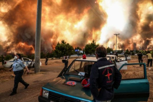 Αντίσταση Πολιτών Δυτικής Ελλάδας: Οι πυρκαγιές διαχρονικό έγκλημα