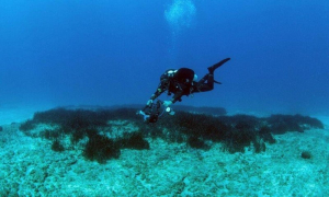 Πογωνιά. Στα άµεσα σχέδια η δηµιουργία καταδυτικού πάρκου