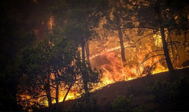 Πυρκαγιά στην Ρόδο: 135.000 στρέμματα γης έγιναν στάχτη – Τι εξηγεί ο Ευθύμιος Λέκκας