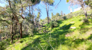 Σε έκτακτη ανάγκη για έξι μήνες ακόμα η Ζάκυνθος λόγω «Ιανού»