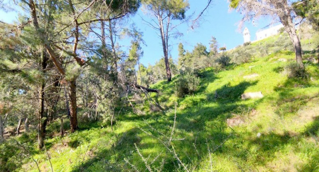 Σε έκτακτη ανάγκη για έξι μήνες ακόμα η Ζάκυνθος λόγω «Ιανού»