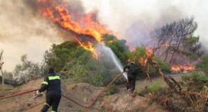 Νέο μέτωπο στη Λέσβο -Μαίνεται για τέταρτη ημέρα η πυρκαγιά στον Έβρο, σε εξέλιξη και στη Μεσσηνία