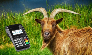 Η απόγνωση και ο... προβληματισμός του φορολογούμενου