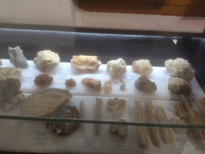 Με επιτυχία πραγματοποιήθηκε η ξενάγηση στο Μουσείο Φυσικής Ιστορίας του Νεοχωρίου Πρέβεζας