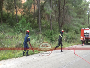 «ΔΙΑ ΠΥΡΟΣ 2023»: Άσκηση μεγάλης κλίμακας στο Φρύνι - «Το στοίχημα σήμερα ήταν η συνεργασία» (βίντεο)