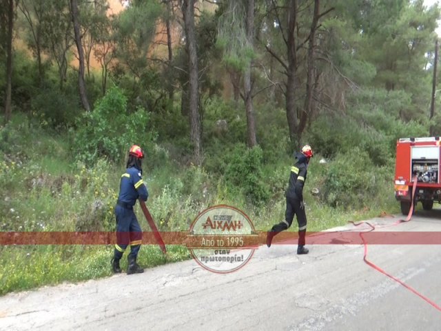 «ΔΙΑ ΠΥΡΟΣ 2023»: Άσκηση μεγάλης κλίμακας στο Φρύνι - «Το στοίχημα σήμερα ήταν η συνεργασία» (βίντεο)