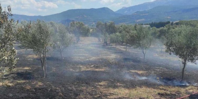 Βόνιτσα: Κινητοποίηση της Πυροσβεστικής για φωτιά στο Λουτράκι
