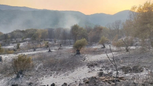Πρέβεζα: Οριοθετημένες οι φωτιές σε Καστροσυκιά, Στεφάνη και Κάτω Ρεματιά