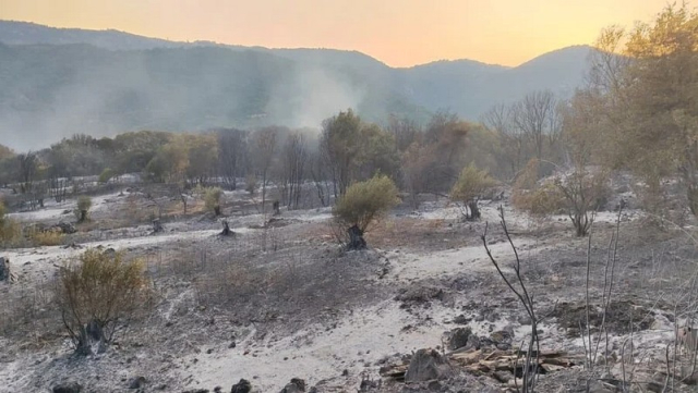 Πρέβεζα: Οριοθετημένες οι φωτιές σε Καστροσυκιά, Στεφάνη και Κάτω Ρεματιά