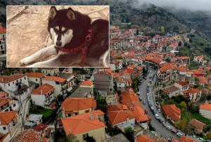 Όλιβερ: «Δεν τεκμαίρεται κακοποίηση από άνθρωπο», το πόρισμα του εμπειρογνώμονα της ΕΛ.ΑΣ