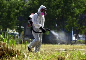 Γενικός ψεκασμός δακοκτονίας στην Π.Ε. Αιτωλ/νίας