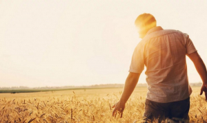 Ανησυχία για τις διεθνείς τιμές των αγροτικών προϊόντων