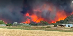 Θα δεσμεύονται και τα περιουσιακά στοιχεία των εμπρηστών