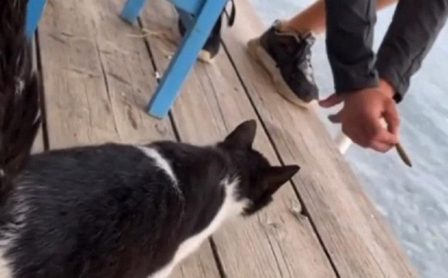 Αιδηψός: Αναβλήθηκε η δίκη του 30χρονου